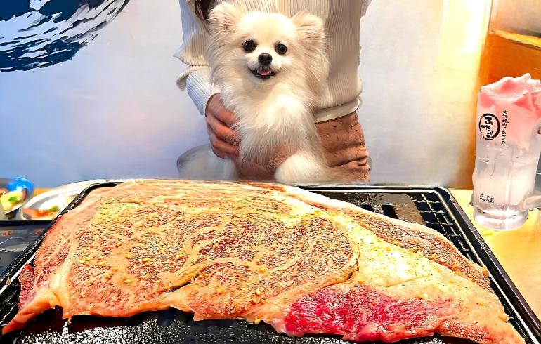 大阪焼肉・ホルモン ふたご 中目黒トレーニングセンター店 「大阪焼肉・ホルモン ふたご 中目黒トレーニングセンター店」のメイン画像です。