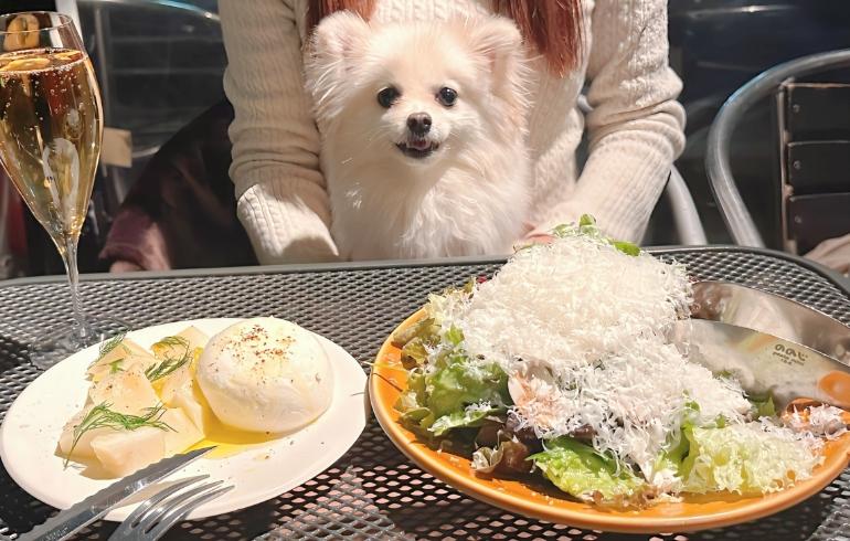 Pizzeria&Trattoria GONZO 自由が丘店 - 写真 2