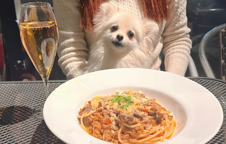 GONZOボロネーゼとゆめちゃん GONZOボロネーゼとゆめちゃん