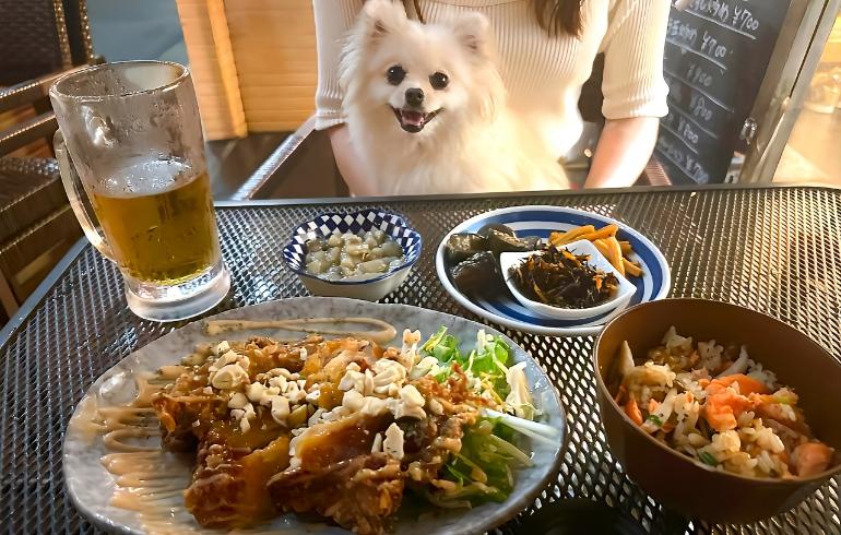 定食