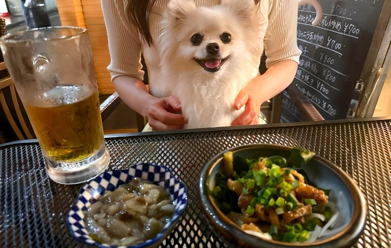 お酒とおつまみ料理各種2