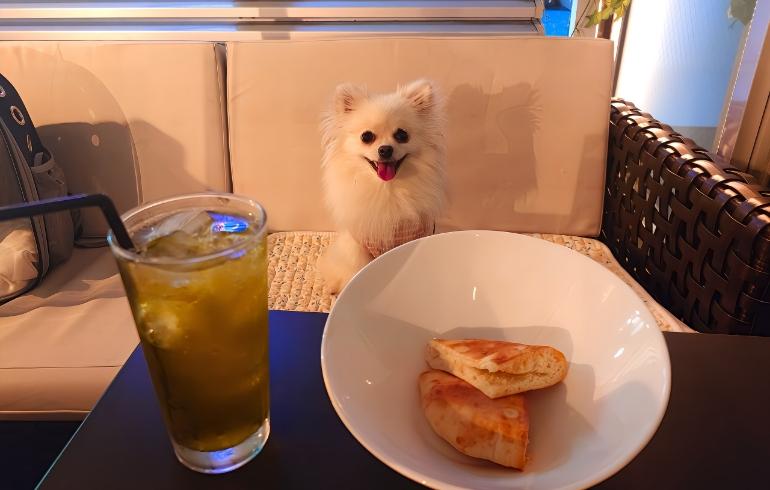 ROOF TOP YEBISU TERRACE(ルーフトップ恵比寿テラス) - 写真 4