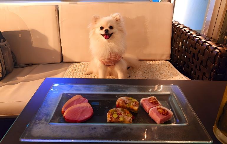 ROOF TOP YEBISU TERRACE(ルーフトップ恵比寿テラス) - 写真 5