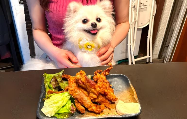 サカバ日吉MARU の写真 11