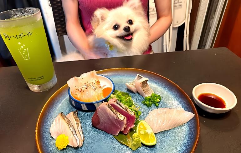 5種のお刺身