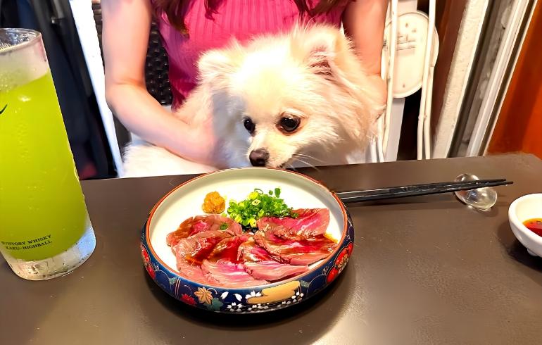 サカバ日吉MARU の写真 30