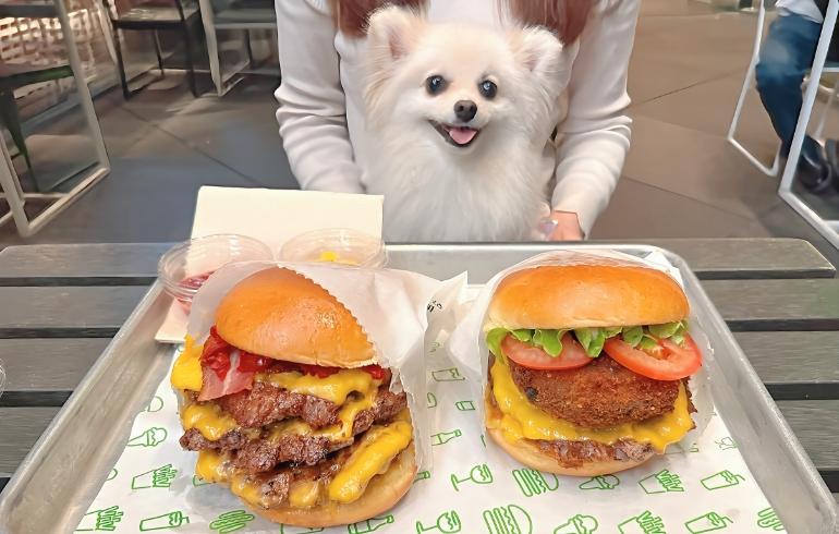 ゆめちゃんとシャックバーガー２種