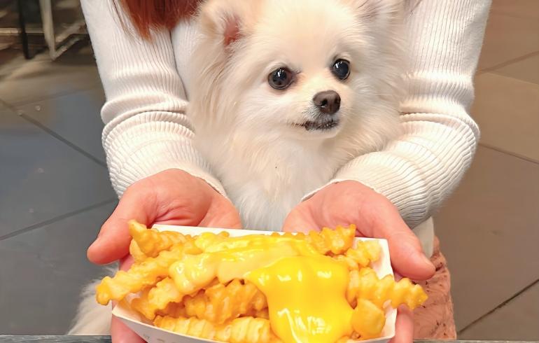 チーズフライとゆめちゃん