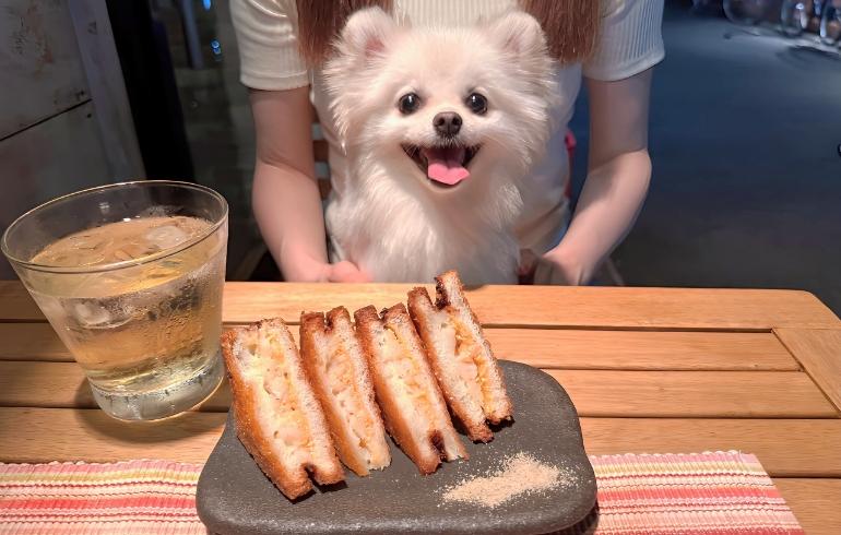 志のぶ屋の写真（料理）6枚目