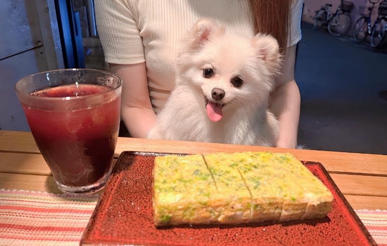 だし巻き玉子とゆめちゃん