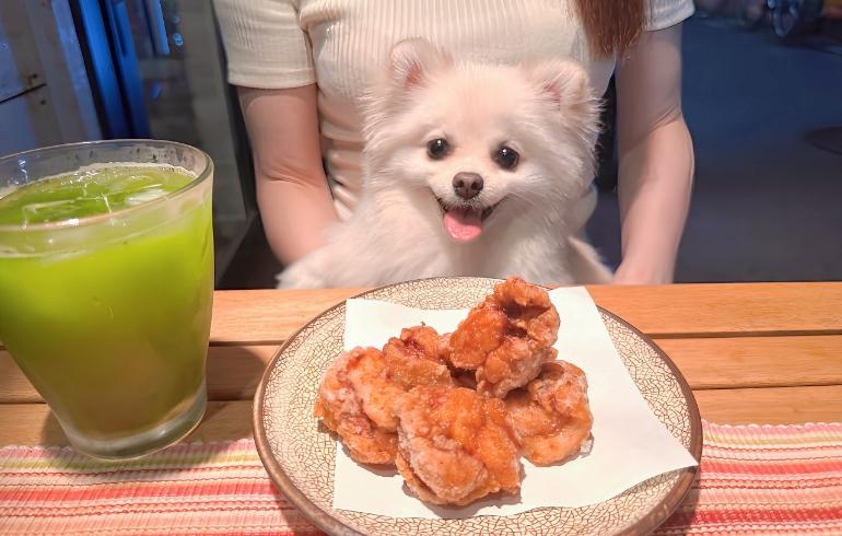 鶏のからあげとゆめちゃん