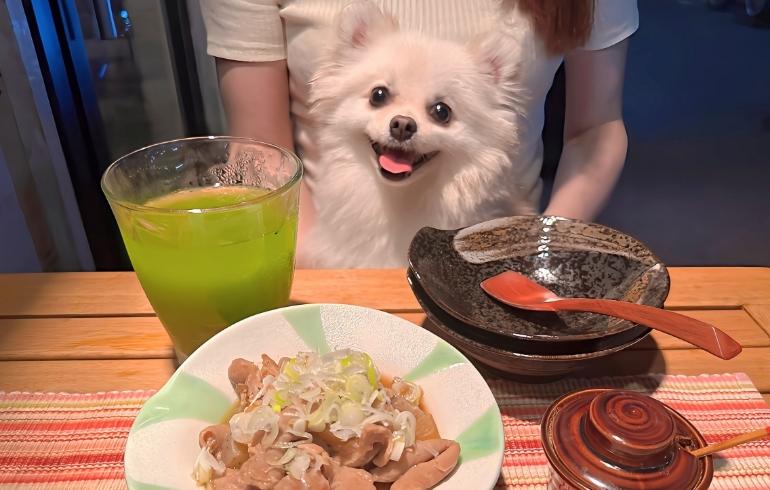 志のぶ屋 の写真 6