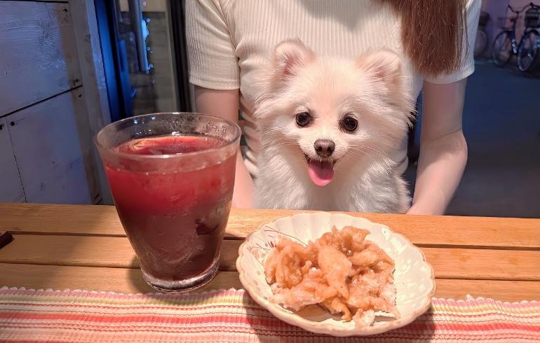 志のぶ屋 の写真 7