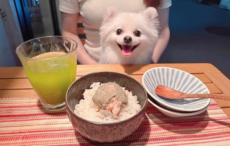 ズワイガニのほぐし身とカニ味噌ごはんとゆめちゃん