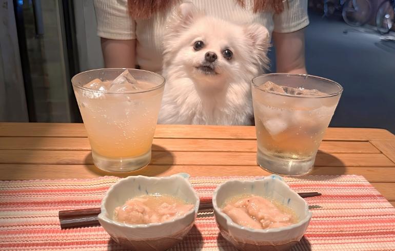 鳳凰美田の果実酒とゆめちゃん