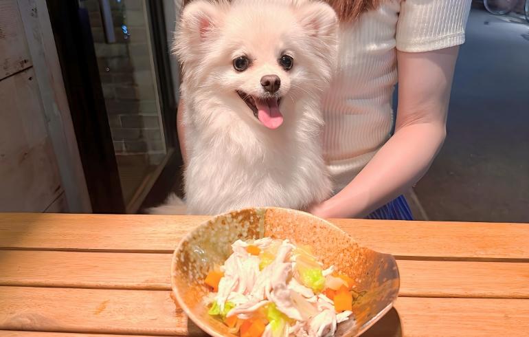 志のぶ屋の写真（ワンちゃんサービス）4枚目