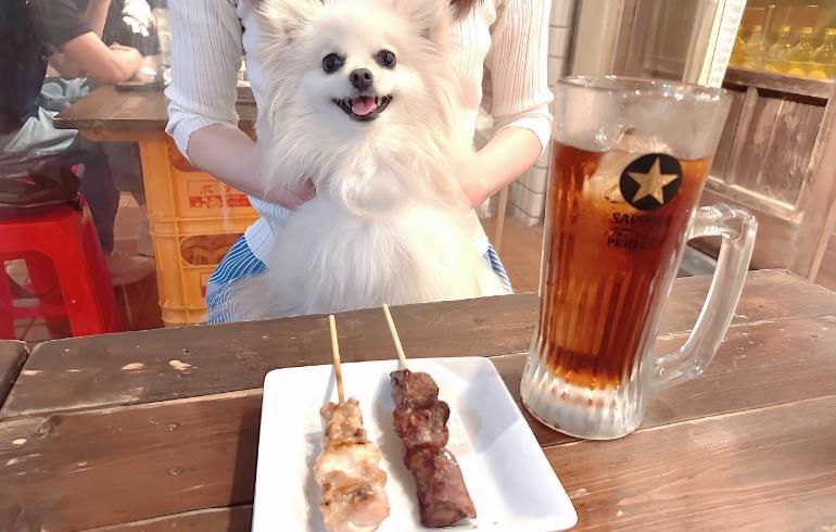 ワンちゃん用の焼き鳥 ワンちゃん用の焼き鳥
