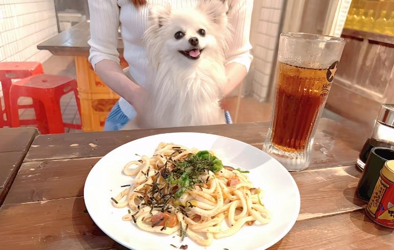 うどんとゆめちゃん うどんとゆめちゃん