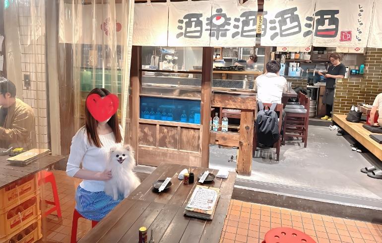 酒楽酒酒酒 新城店（しゅらしゅしゅしゅ ）の写真（内観）2枚目