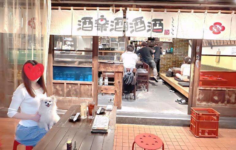 酒楽酒酒酒 新城店（しゅらしゅしゅしゅ ）の写真（内観）7枚目