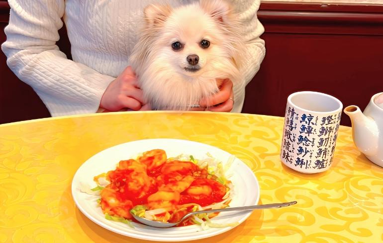 四川麻婆 新館 - 写真 4