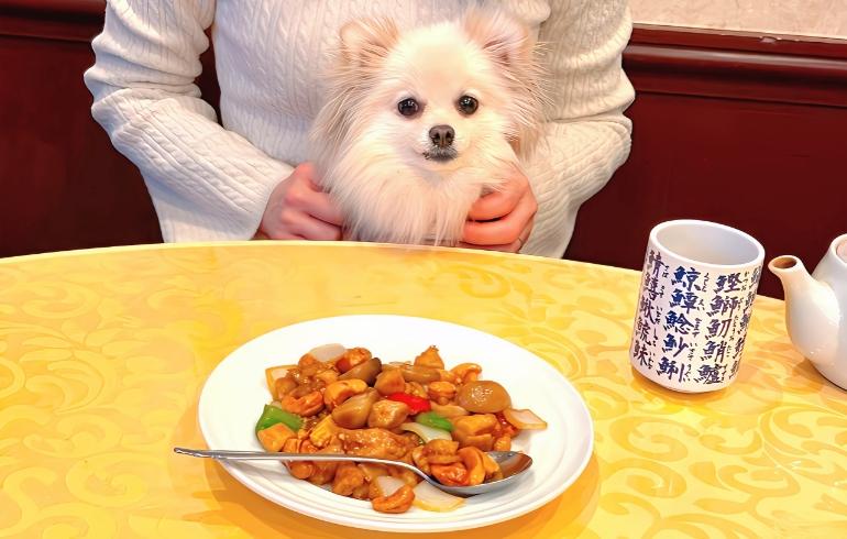 四川麻婆 新館 - 写真 5