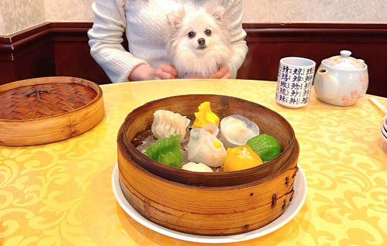 点心の盛り合わせ1