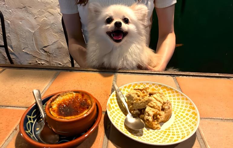 シナモン風味クリームブリュレとキャラメルナッツのセミフレッド
