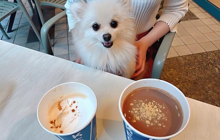 ドリンク各種（ホットチョコレート・シーズナルラテ）とゆめちゃん