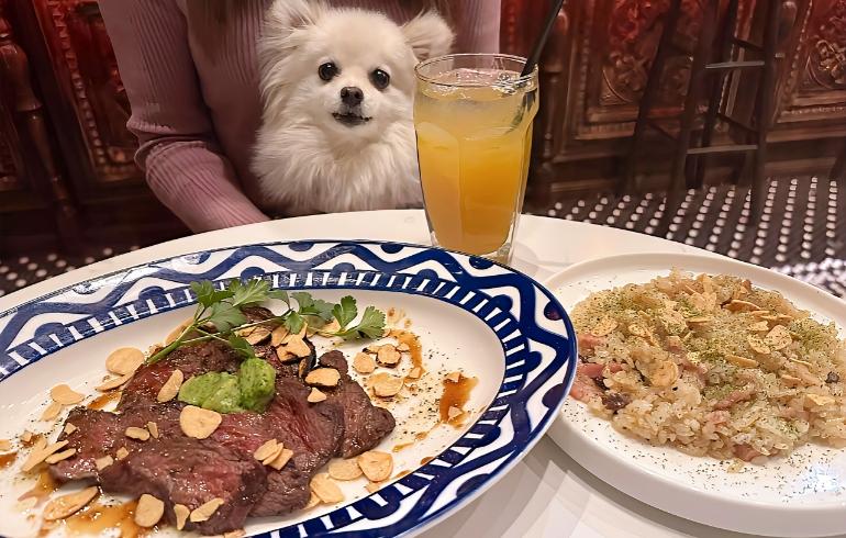 チャックテールステーキ チャックテールステーキ