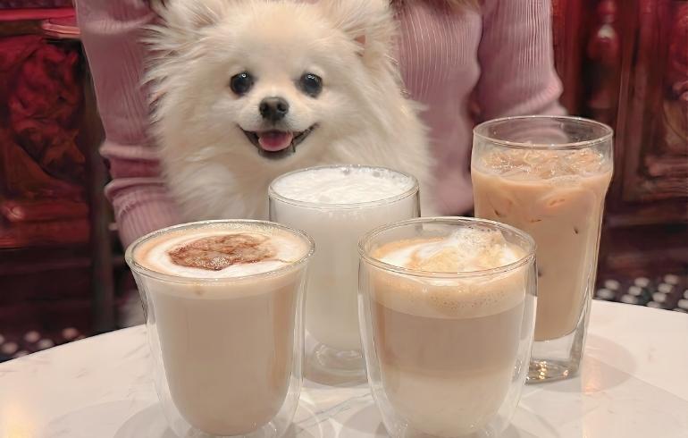 コーヒー各種とゆめちゃん コーヒー各種とゆめちゃん