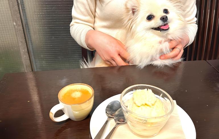 Tra la Roccia（トララロッチャ）の写真（料理）6枚目