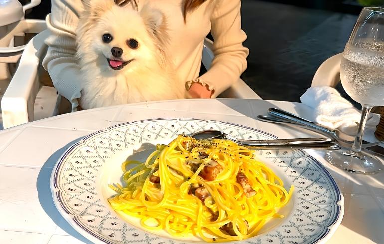 パスタ パスタ