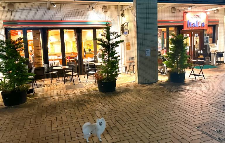外観2 外観2