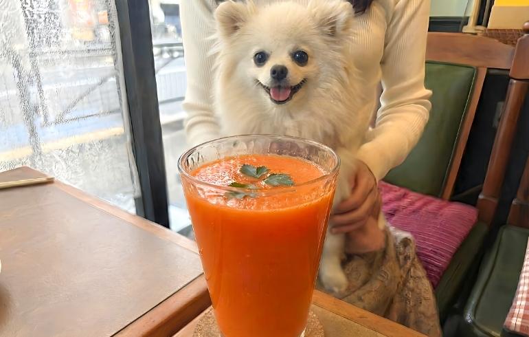 スムージーとゆめちゃん