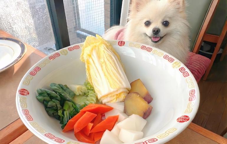 ワンちゃん専用・低温蒸し野菜とゆめちゃん