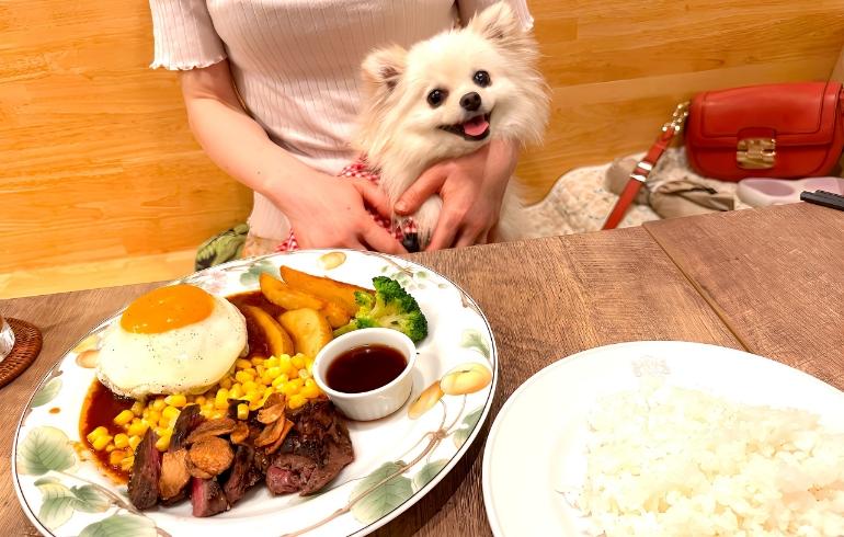 ママの手作りハンバーグセット ママの手作りハンバーグセット