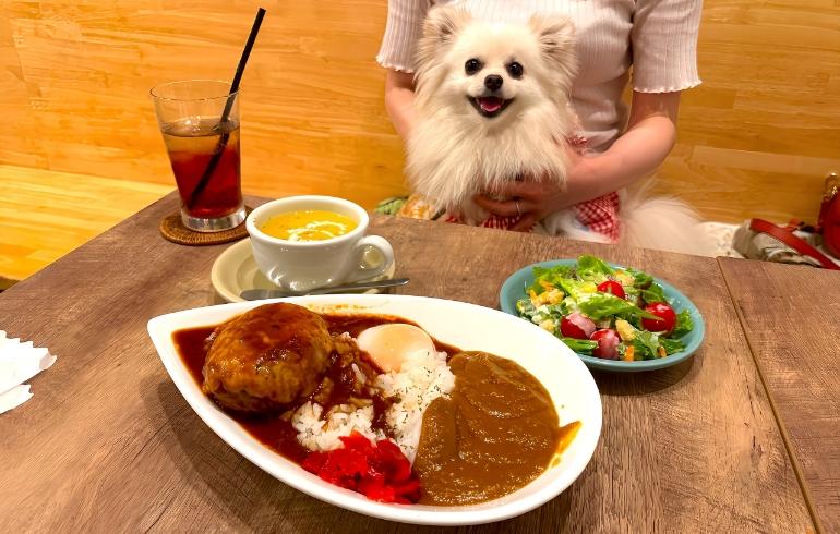 ママの手作りハンバーグ はやちゃんち(バサラちゃんち) - 写真 3