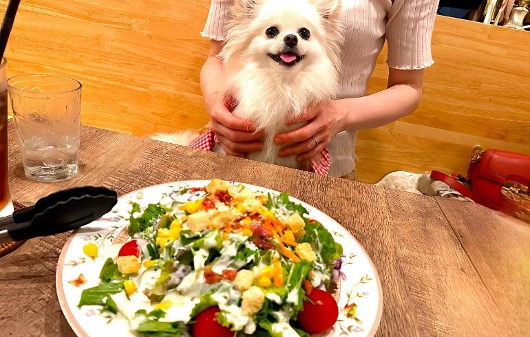 ママの手作りハンバーグ はやちゃんち(バサラちゃんち) - 写真 4