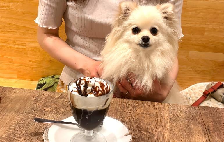 ママの手作りハンバーグ はやちゃんち(バサラちゃんち) の写真 7