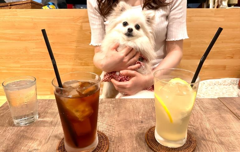 ママの手作りハンバーグ はやちゃんち(バサラちゃんち) の写真 8