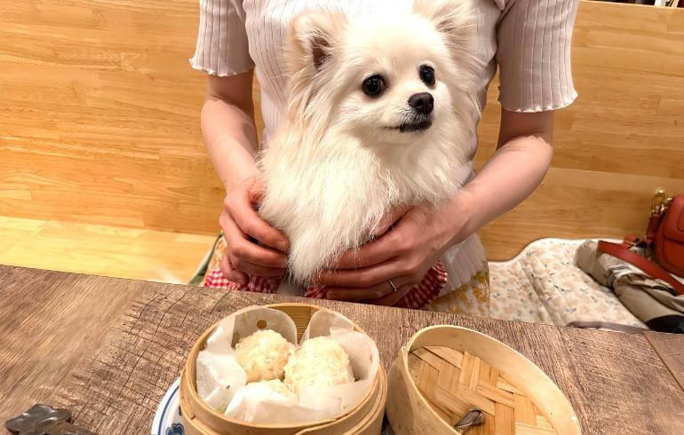 わんちゃんのごはん1 わんちゃんのごはん1