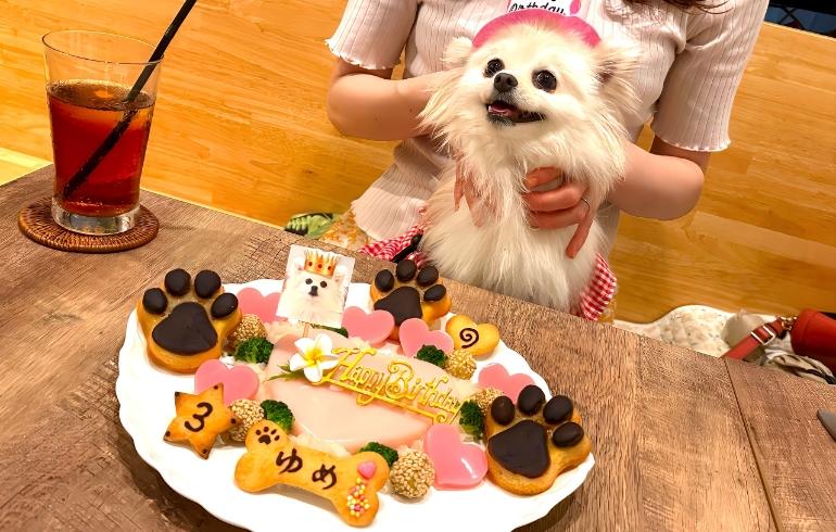 ワンちゃん用バースデーケーキ ワンちゃん用バースデーケーキ