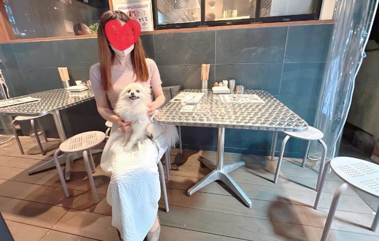 やきとり家すみれ 綱島店 - 写真 3