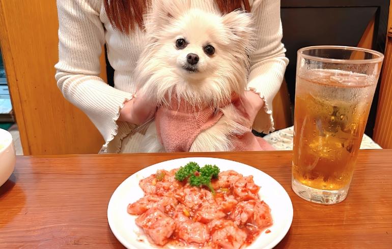 梅ミノとゆめちゃん