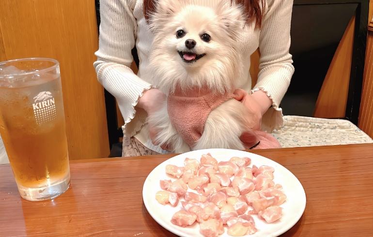 軟骨とゆめちゃん