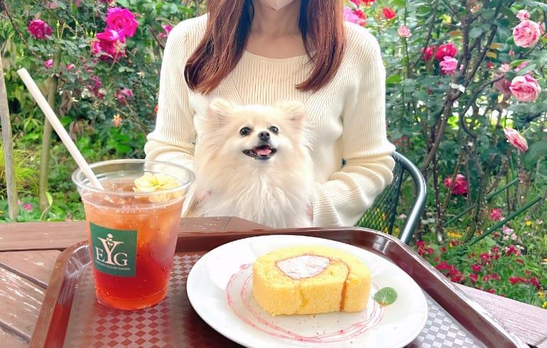「YEGオリジナルCAFE（YEG original cafe）」のメイン画像です。
