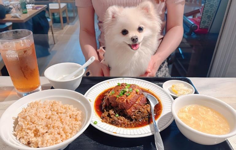 「優味彩（ユミサイ）」のメイン画像です。