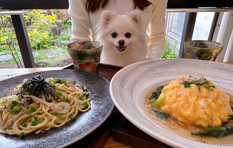 ひばり茶寮 - 写真 2