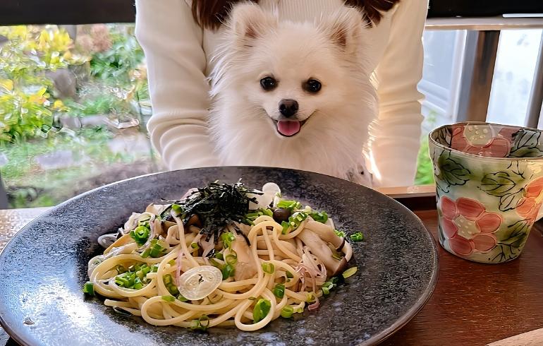 料理1
